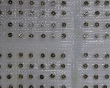 фото Подшипник 5-1000096 (696/P5)