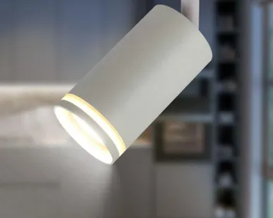 фото Светильник трековый 1ф TR52 - GU10 WH под лампу GU10 матовый бел. Эра Б0054165