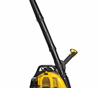 фото Воздуходувка Champion GBR333