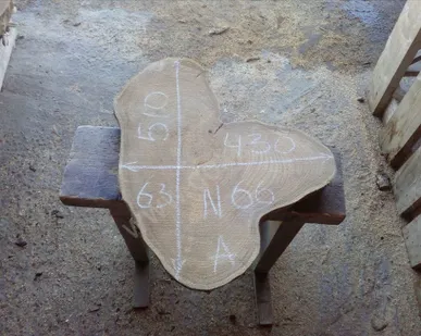 фото Спил карагач № 66 63х430х510