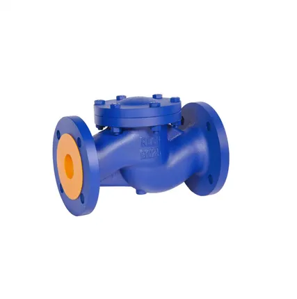 Фото №0 Клапан обратный Ду 25 фланцевый REON