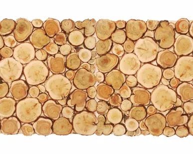 фото Панно из спилов можжевельника 1000х500 мм