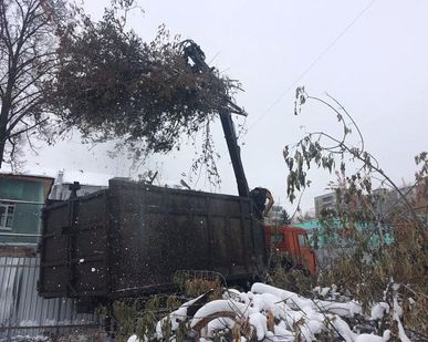 фото Аренда ломовоза