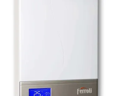 фото Электрический котел Ferroli ZEWS 9