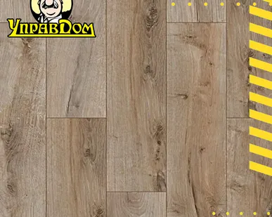 фото Ламинат Classen Harmony Forte 4V WR 56613 Дуб Трудент