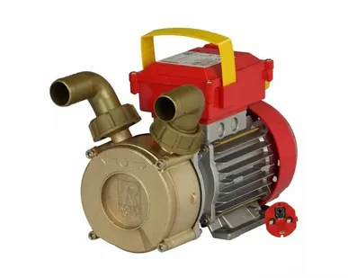 фото Самовсасывающий насос с реверсом Rover BE-M 30