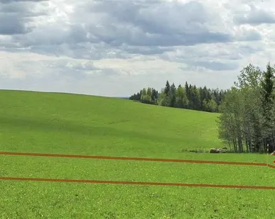 фото Вынос на местность границ земельного участка