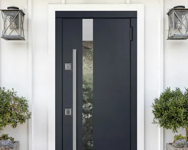 фото Лейден - двери для дома с терморазрывом полотна и короба