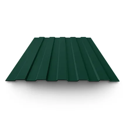 Фото №0 Профнастил окрашенный С8 0,4х1150(1200)х2000 RAL 6005 зеленый мох