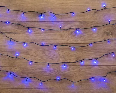 фото Гирлянда "ТВИНКЛ ЛАЙТ LED" (с контроллером 8 режимов) 4м 25LED 2Вт 220В IP20 син. провод темн.-зел. ПВХ NEON-NIGHT 303-013
