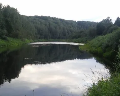 фото Пруд пластиковый или Природный водоем!