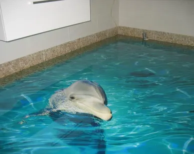 фото Укладка полимерных 3D полов