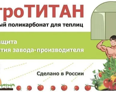 фото Поликарбонат сотовый 3.5 мм прозрачный | листы 6 и 12 м | АгроТИТАН