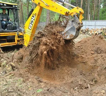 Фото №0 Корчевка и удаление пней, кустарников с участка