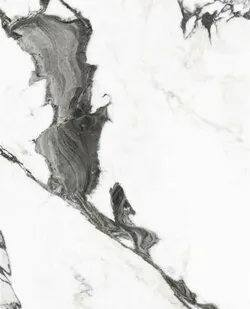 фото 60X120 PANDA MARBLE WHITE POL REC GL POR TL (P19707.6) 60х120