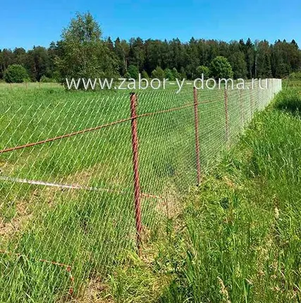 Фото №0 Забор из сетки рабицы