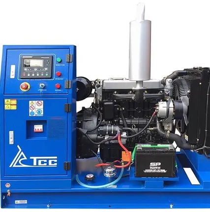 Фото №0 Дизельный генератор ТСС АД-16С-Т400-1РМ5