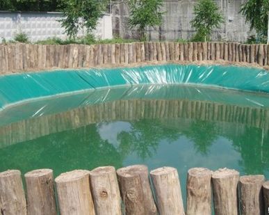 фото Пленка для водоема