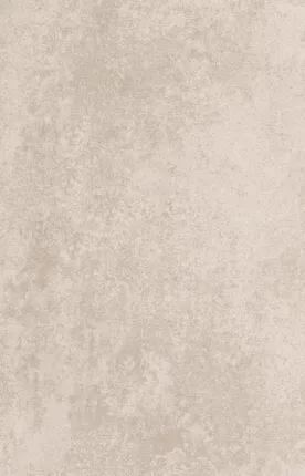 Фото №0 керамический гранит 531 baltimore dark 60*120