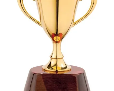 фото Награда «Кубок»