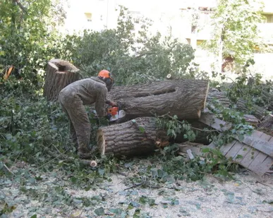 фото Благоустройство дачных участков.