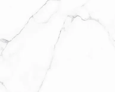 фото Керамический гранит ALMA CERAMICA Carrara 600х600 GFU04CRR00R