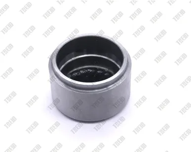 фото Поршень суппорта 4120001739009