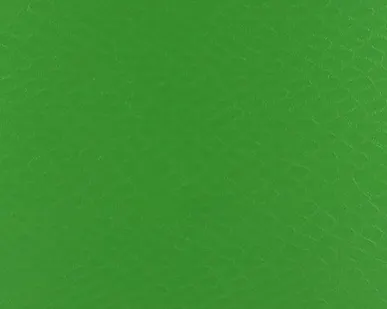 фото Плёнка кожа ПИТОНА (1.52*30) зелёная