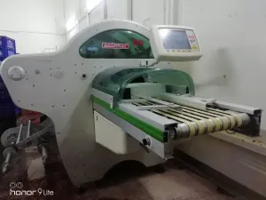 Фото №4 Упаковщик Waldyssa Automac 55 Piu B-220 в Москве