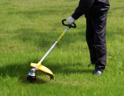 Фото №0 Полив территории, стрижка газонов, скос травы, обрезка кустарников