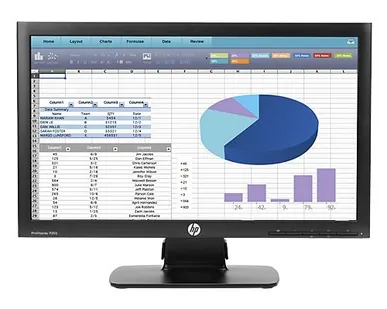 фото Монитор HP ProDisplay P202