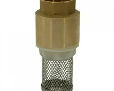 фото Фильтр с обратным клапаном Ф=100 мм