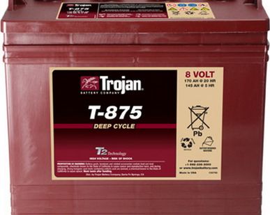 фото Аккумуляторная батарея Trojan T-875
