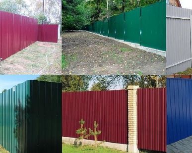 фото Заборы