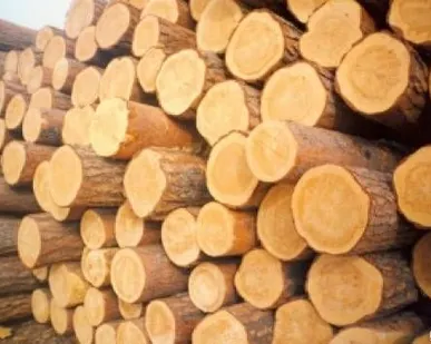 фото Кругляк лиственница, D 37 см, L= 6 м, ЕВ