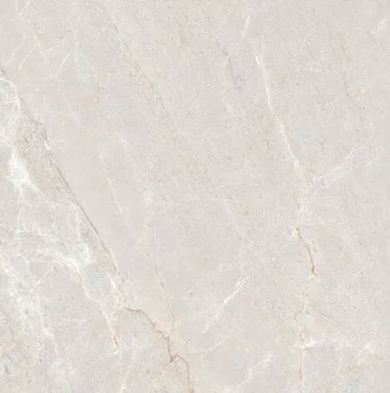Фото №0 Керамогранит Marble Persian Grey Matt 60x120