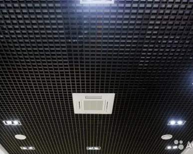 фото Потолок Грильято Черный