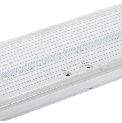 Фото №0 Светильник аварийный ДПА 5030-3, NI-CD, пост.,3ч,IP20, IEK