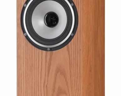 фото Полочная акустическая система Tannoy Revolution XT 6 Цвет: Дуб MEDIUM OAK