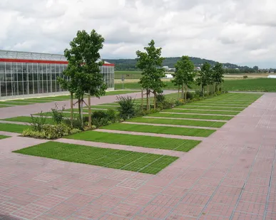 фото Зеленые парковки