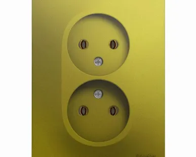 фото Розетка 2-м СП Glossa 16А IP20 без заземл. в сборе фисташк. SchE GSL001020