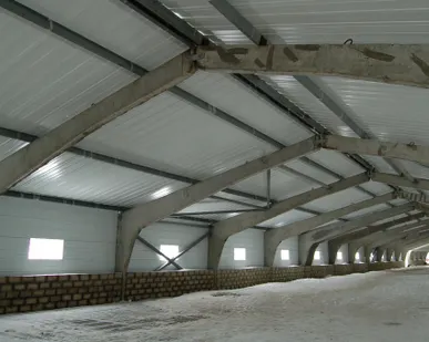 фото Ангар жби клюшечник