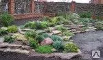 фото Ландшафтный Дизайн участков