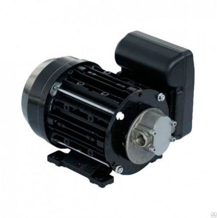 Фото №0 Насос Piusi Garda 5 220V PIUSI (Италия)