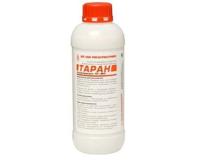 фото Избавляем от крыс