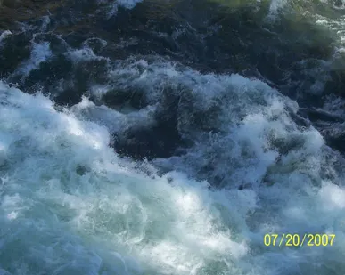 фото Услуги по очистке жироуловителей, КНС