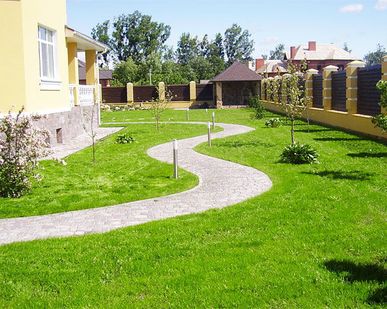 фото Устройство газонов