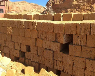 фото Ракушечник