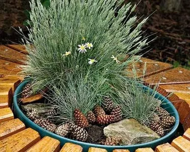 фото Декорирование скважин.