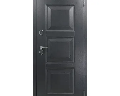 фото Входные металлические двери